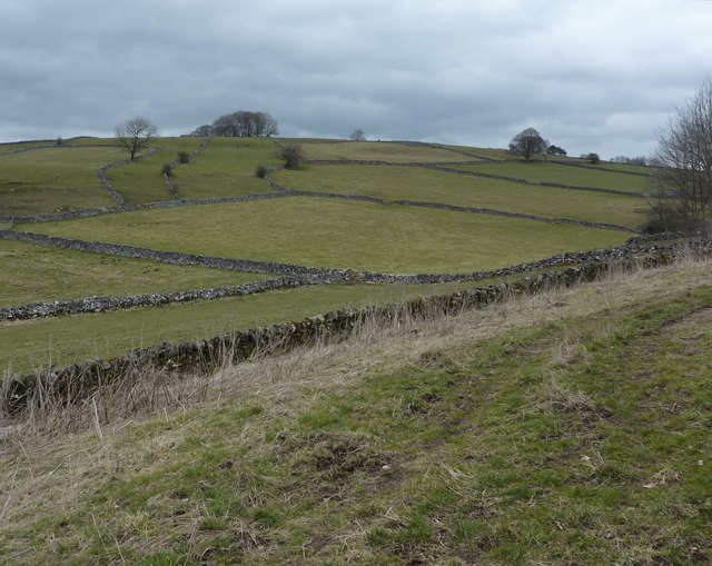 File:Patchwork of fields - geograph.org.uk - 1765531.jpg