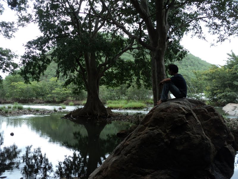 File:Peaceful forests..JPG