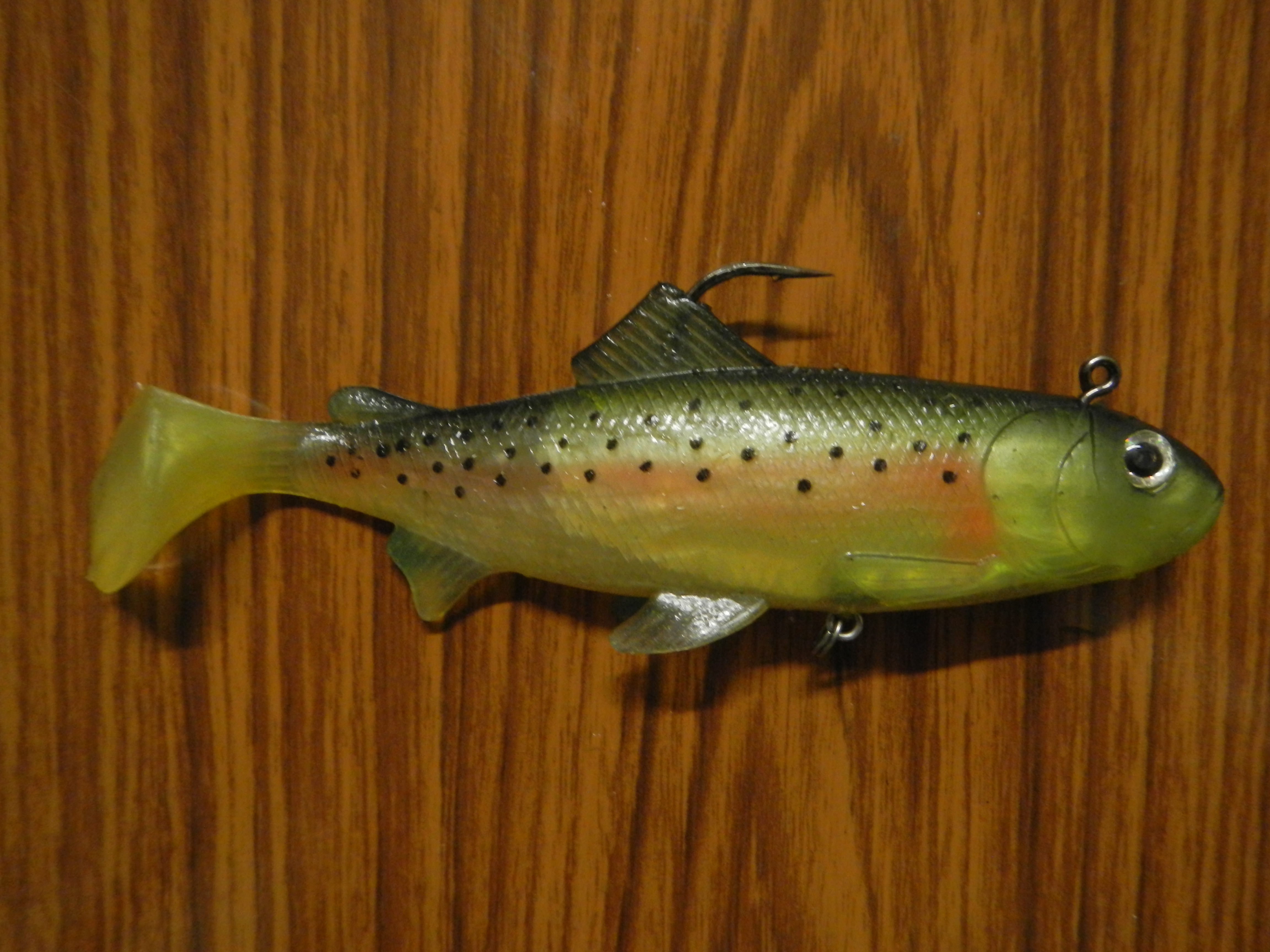 File:Rainbow Trout Swimbait.JPG - Wikipedia