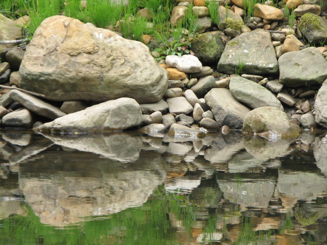 File:Riverside reflections - geograph.org.uk - 846072.jpg