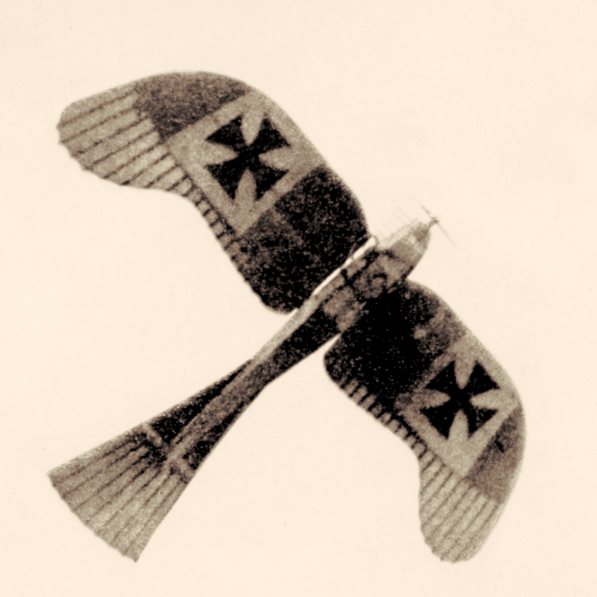 Rumpler_Taube_monoplane.jpg