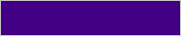 File:SCSO - Purple Heart.png