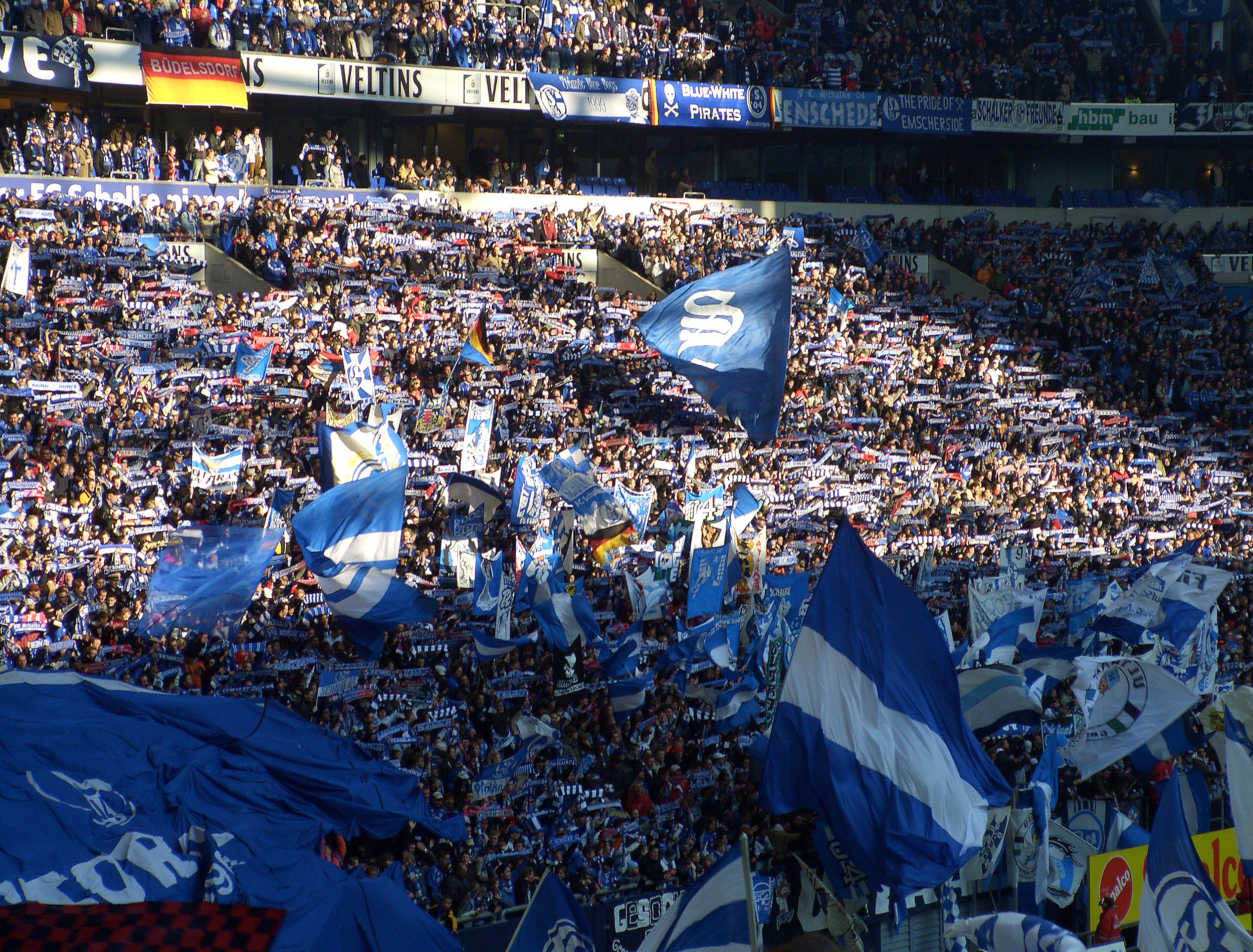 Schalke Fan