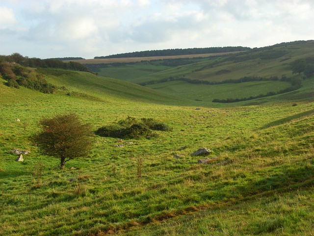 File:The Valley of Stones - geograph.org.uk - 558942.jpg