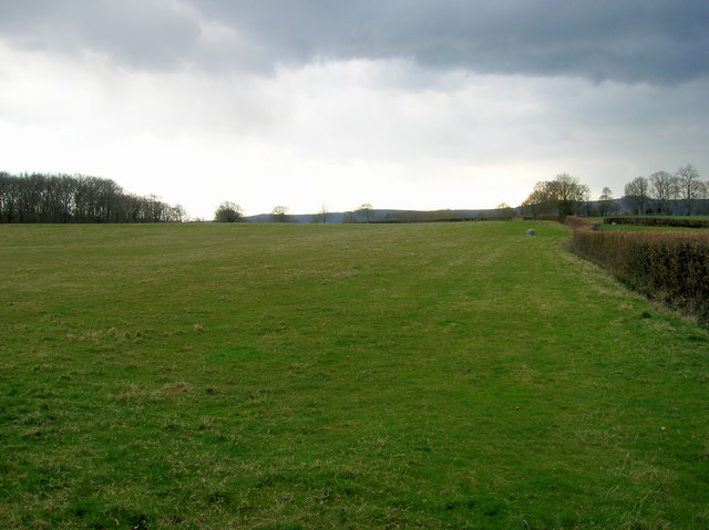 File:The route to Hawking Sopers - geograph.org.uk - 149602.jpg