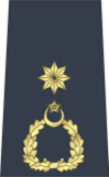 A Pakistan Air Force wing-commander's rank insignia.