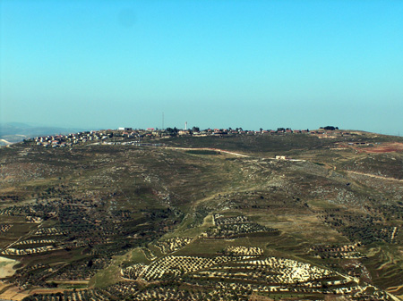 File:0יצהר1.jpg