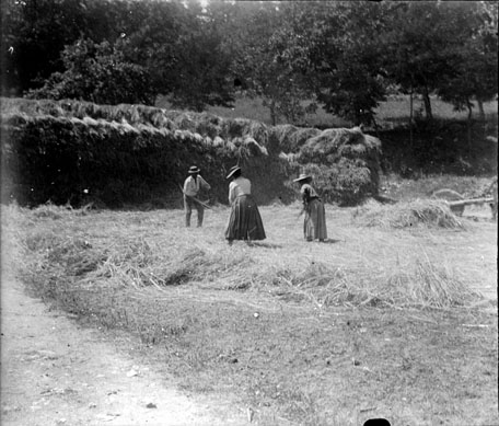 File:Battage du blé, Beaulieu-en-Rouergue, août 1898 (6001615360).jpg