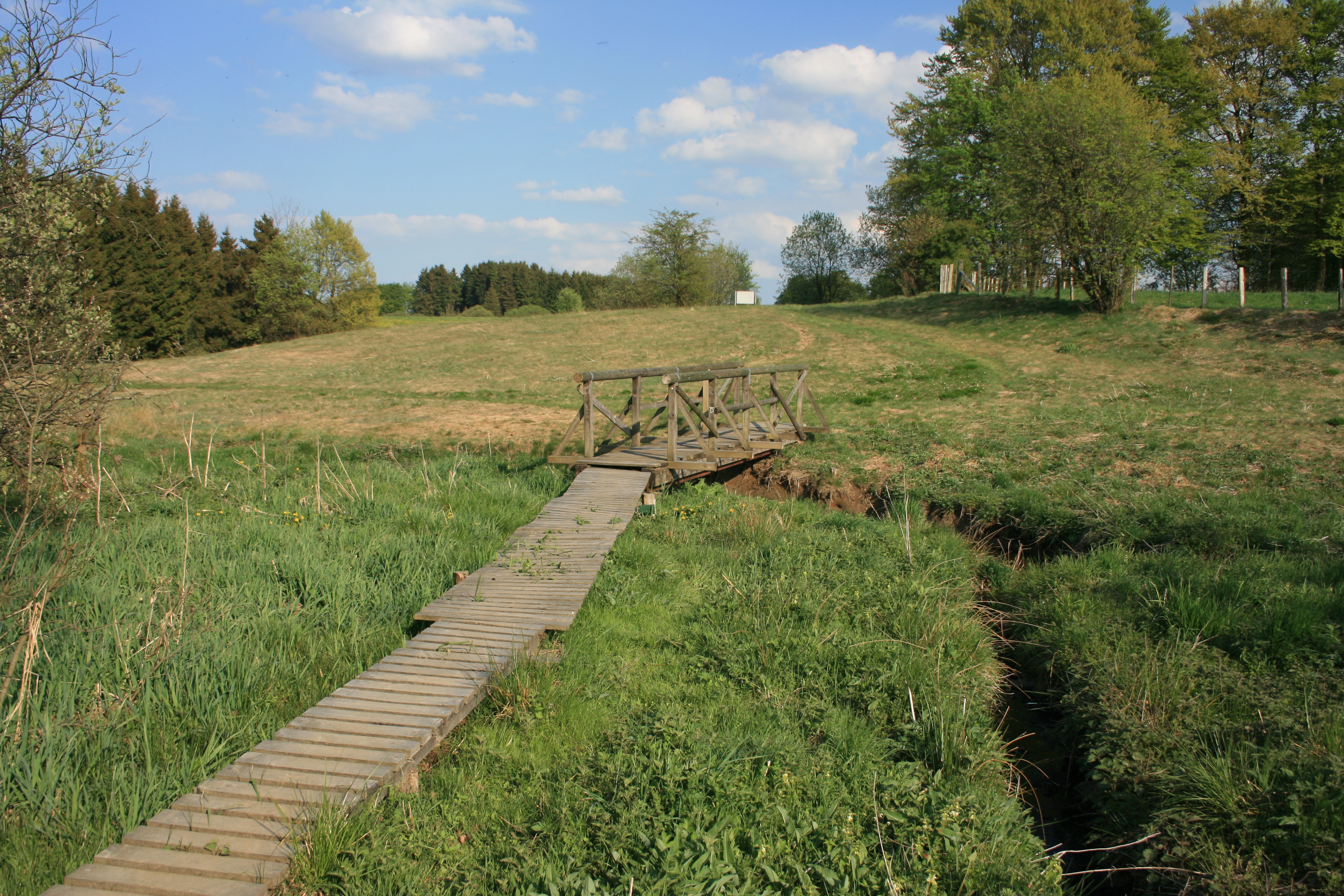 Brücke über den Kallbach (NSG Kalltal, ACK-061)