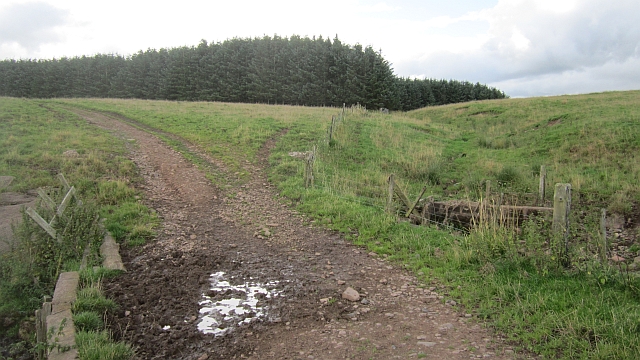 File:Burn crossing on Shibdon Hill - geograph.org.uk - 3101579.jpg