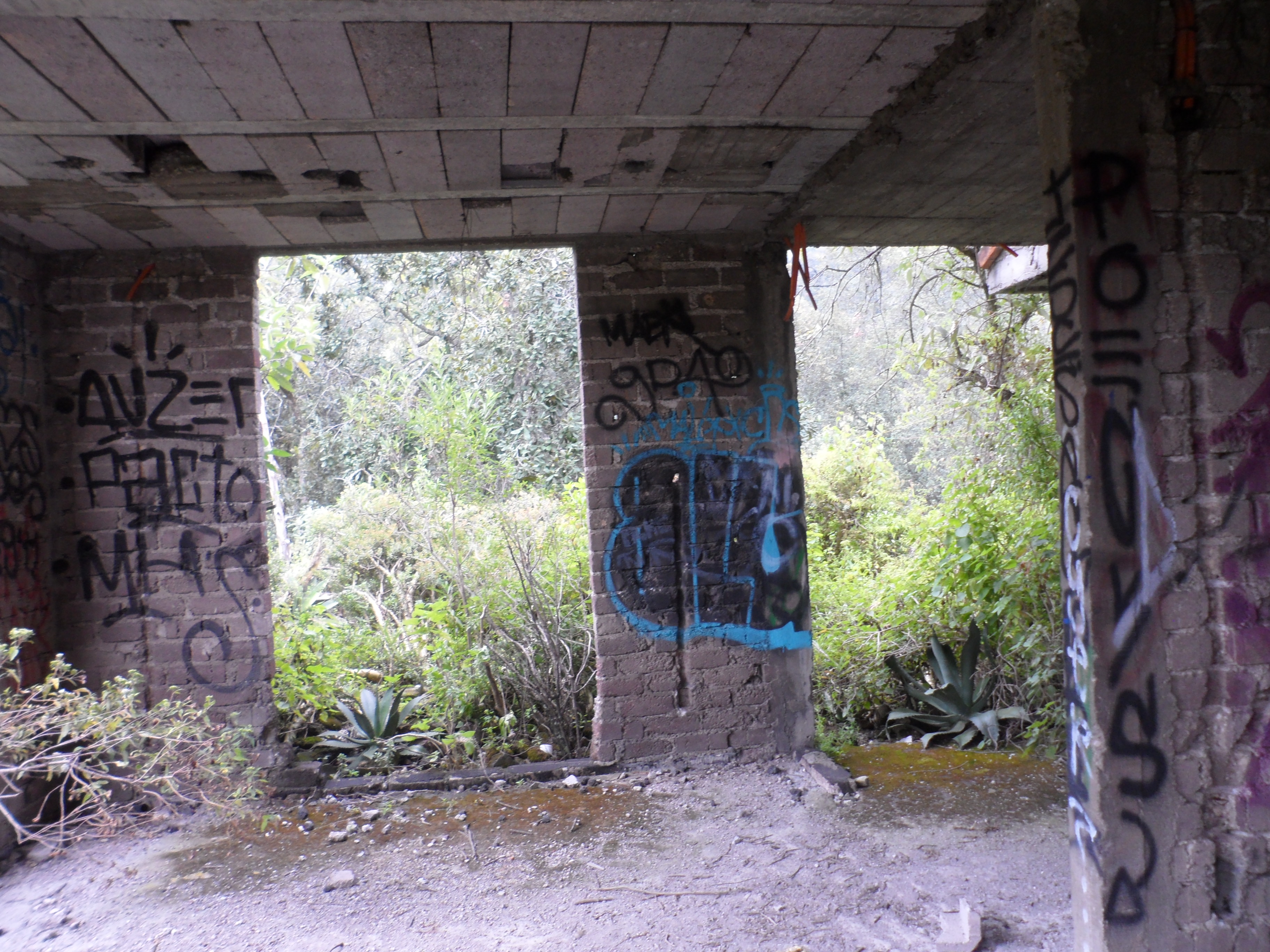 File:Casa abandonada dentro del Parque Ecológico de la Ciudad de Mé  - Wikimedia Commons