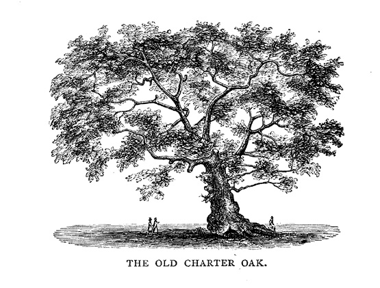 File:Charter Oak in Hartford CT.jpg