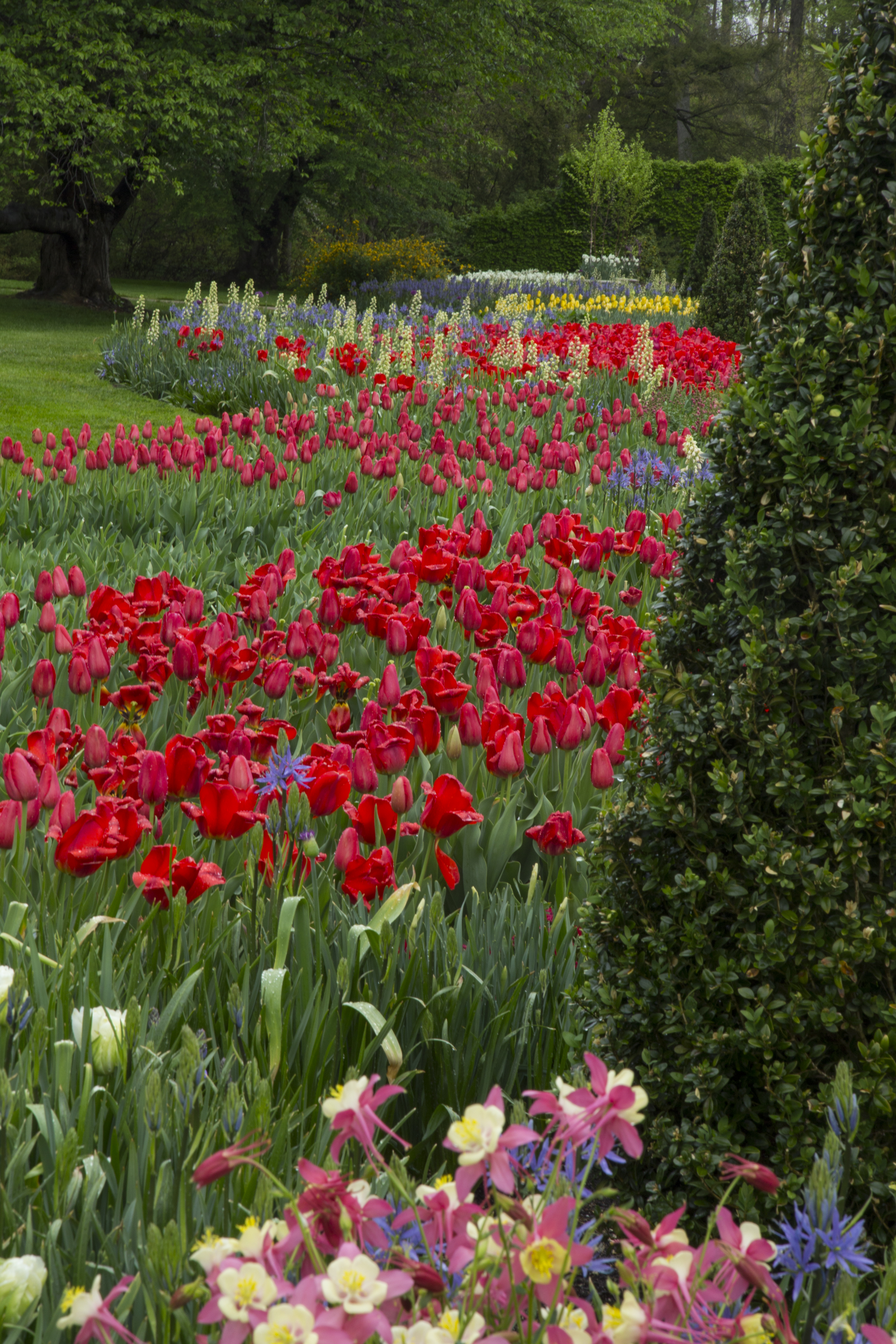 file:color at the flower garden walk - wikimedia commons