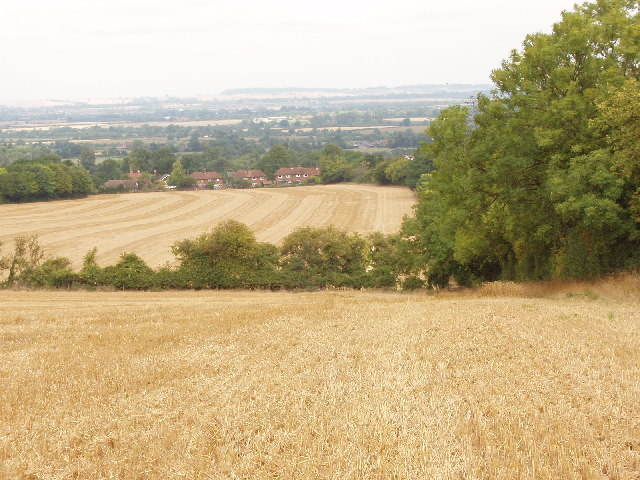 File:Cornfields above Bledlow and the Plain of Aylesbury - geograph.org.uk - 36941.jpg