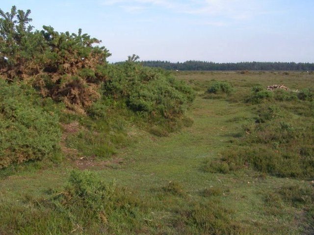 File:Ditch around Laurence's Barrow, Beaulieu Heath, New Forest - geograph.org.uk - 464658.jpg