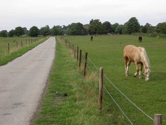 Footpath-Cycleway Adjacent to the Brampton Valley Way - geograph.org.uk - 223432