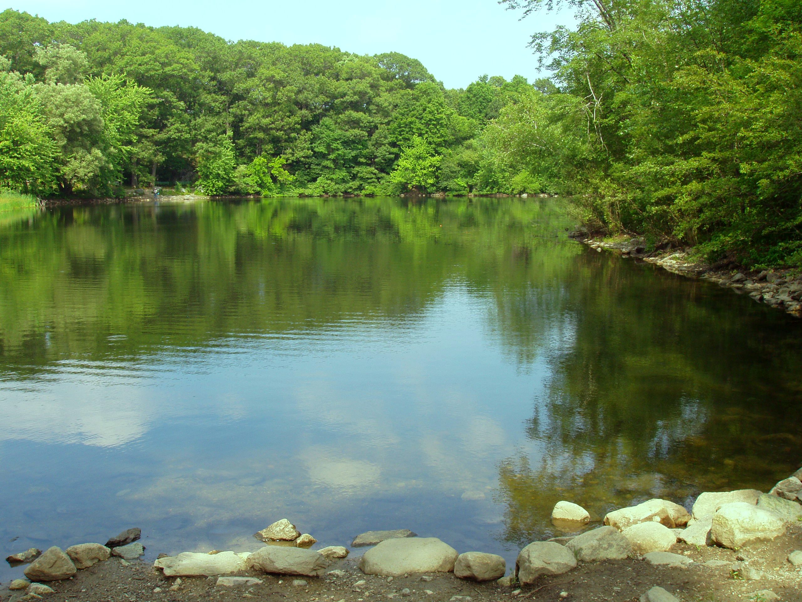 Pond Pictures 81