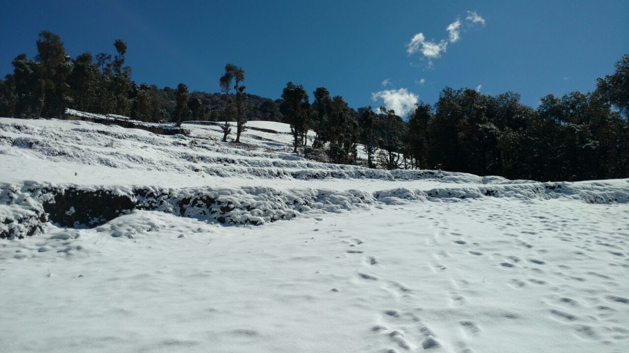 Nag Tibba Trek-Weekend Getaway From Dehradun 6