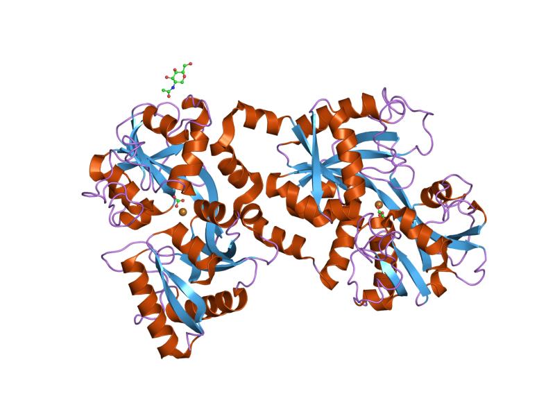 File:PDB 1lcf EBI.jpg