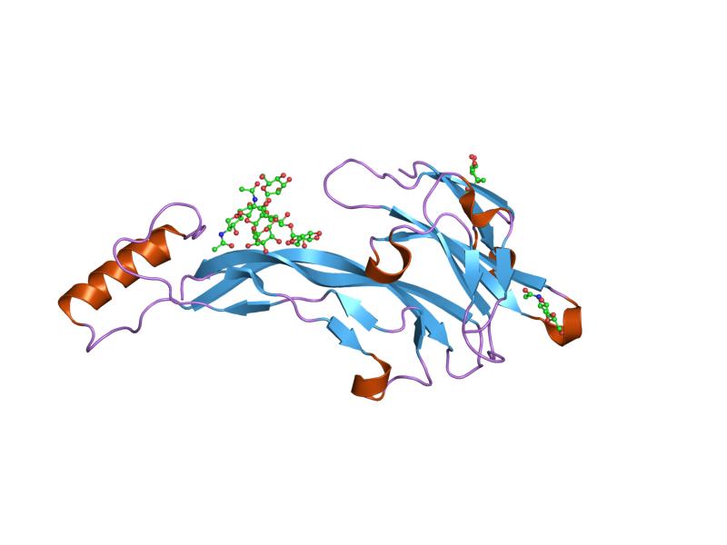 File:PDB 1lx5 EBI.jpg