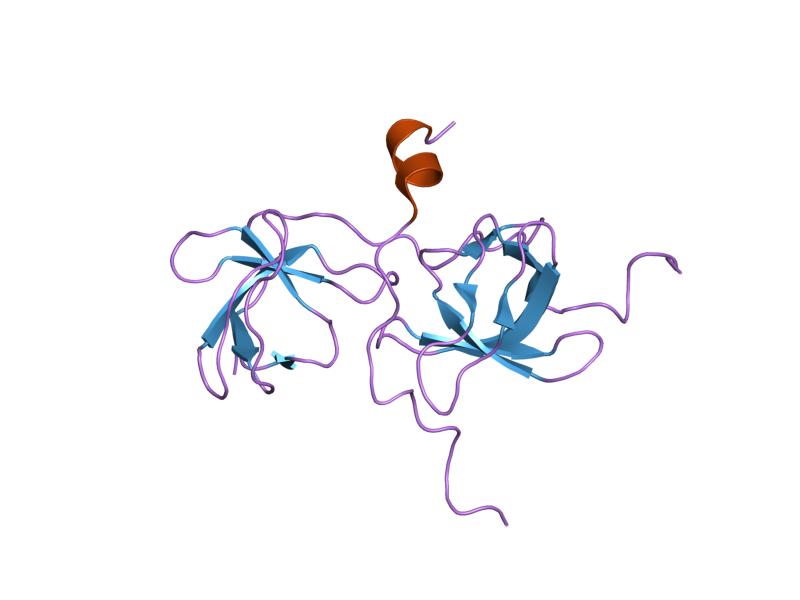 File:PDB 1wlp EBI.jpg