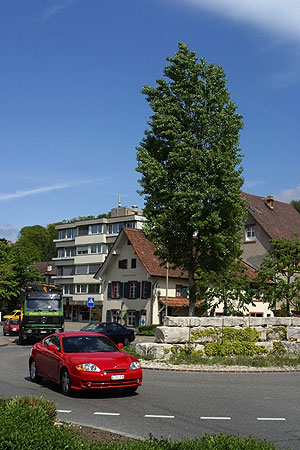 Houses in Bottmingen
