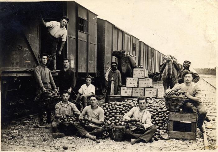 PikiWiki Israel 1191 Agriculture in Israel אורזי פרי ההדר.jpg