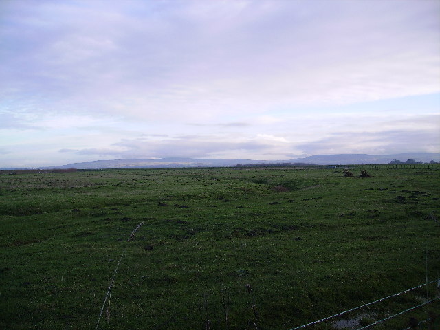 File:Pilling Marsh - geograph.org.uk - 105173.jpg