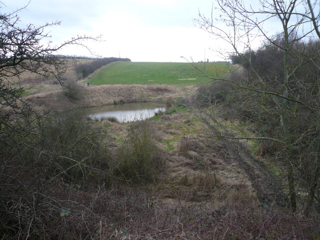 File:Pond viewed from bridge at the bottom of Hagg Hill - geograph.org.uk - 676469.jpg