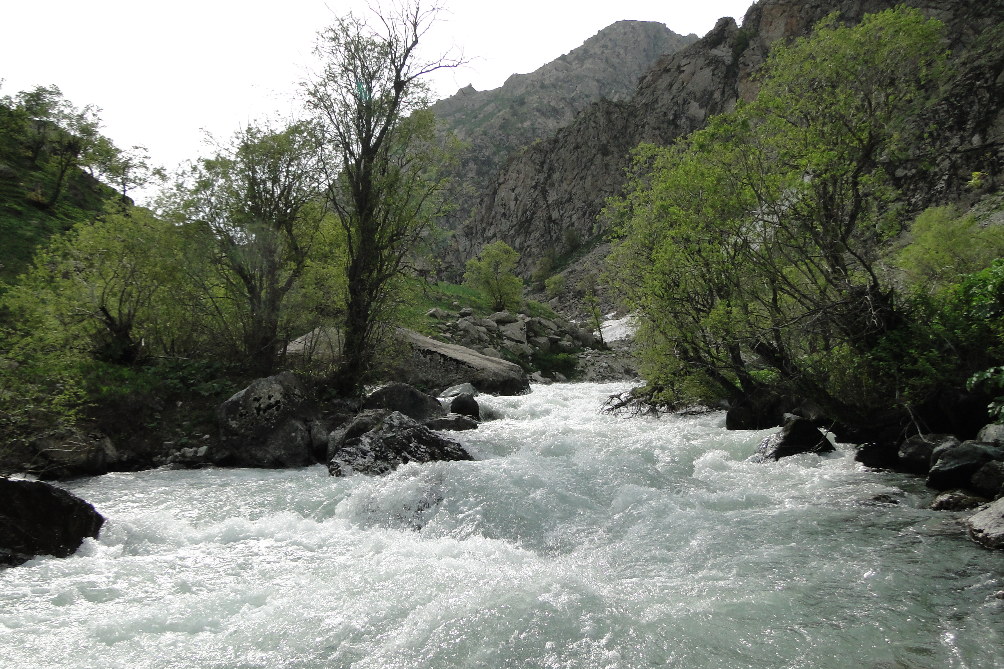 Река Таджикистан Ворух