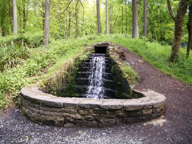 Running stream in Portglenone Forest - geograph.org.uk - 643122