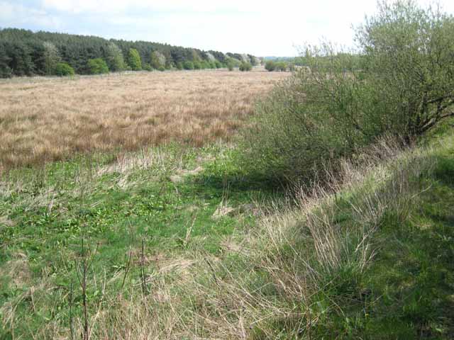 File:The Carrs, near Chilton Lane - geograph.org.uk - 413588.jpg