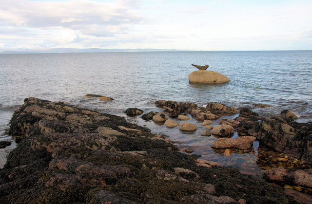 File:The Corrie seal - geograph.org.uk - 811801.jpg