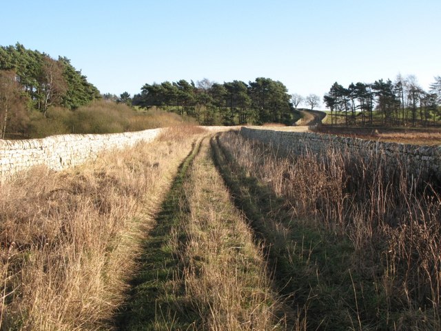 The causeway across Hallington Reservoirs - geograph.org.uk - 625036