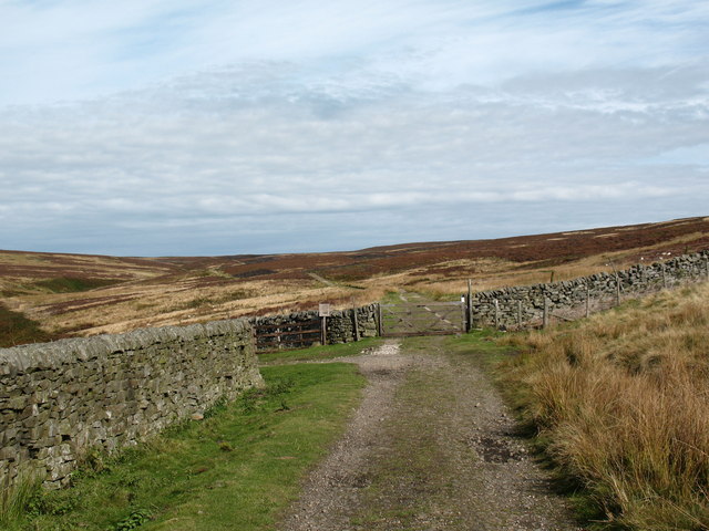 File:Track junction on Fountains Earth Moor - geograph.org.uk - 573733.jpg