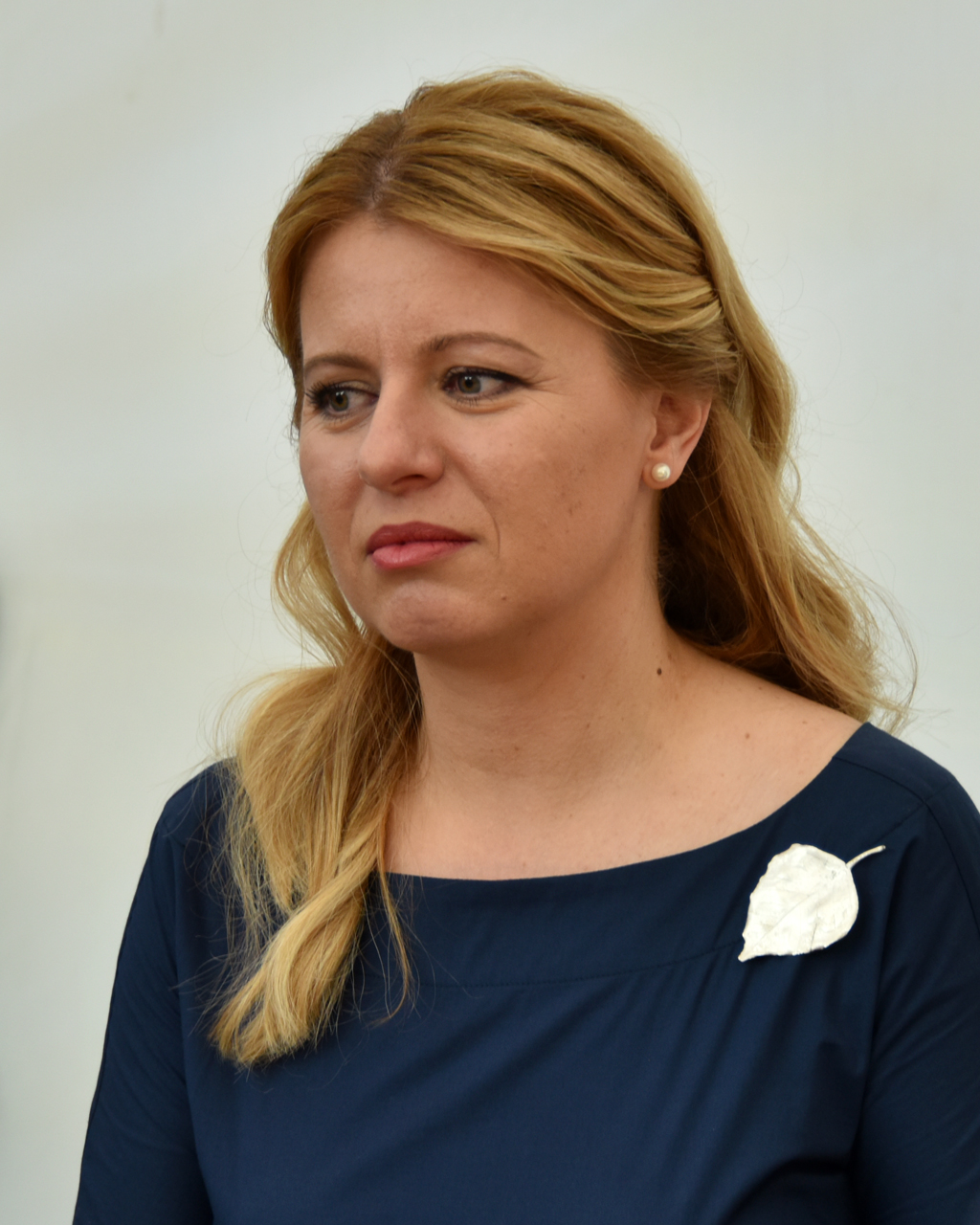 Vi 2019. Амбассадор Бриджит. Write name in Google: Zuzana Caputova.