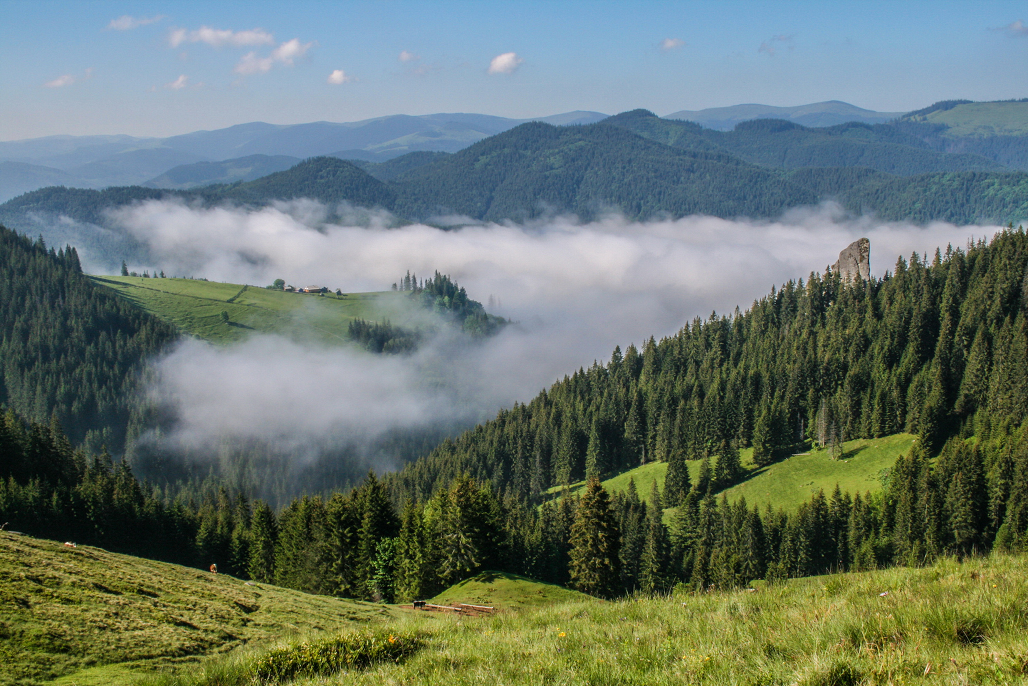 Карпатские горы Азуга