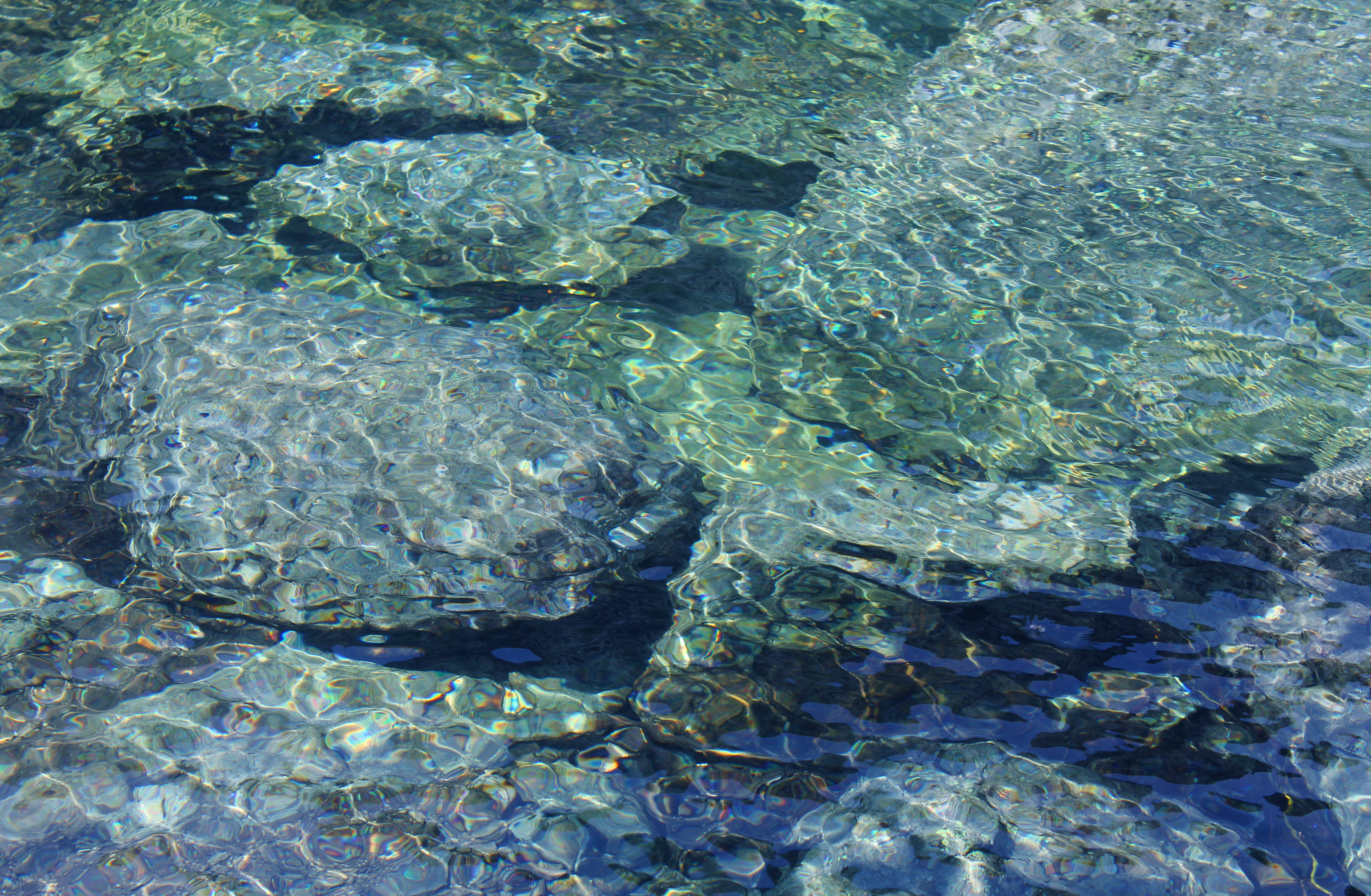 Долями подводные камни