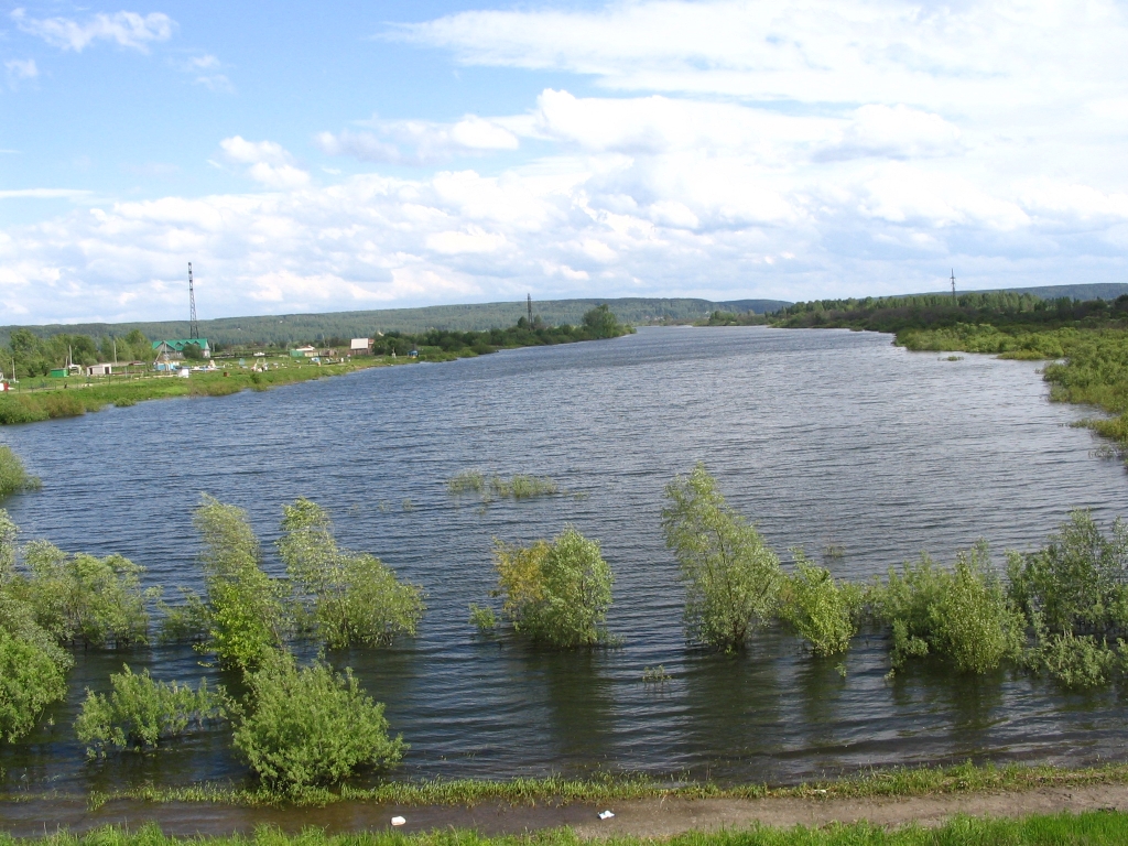 Сенная курья томск. Озеро каламацкое Томск. Озеро Курья Томск. Озеро Сенная Курья.