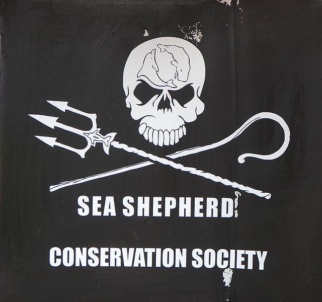 File:2013 Armada Rouen Sea Shepherd Conservation Society-2.JPG