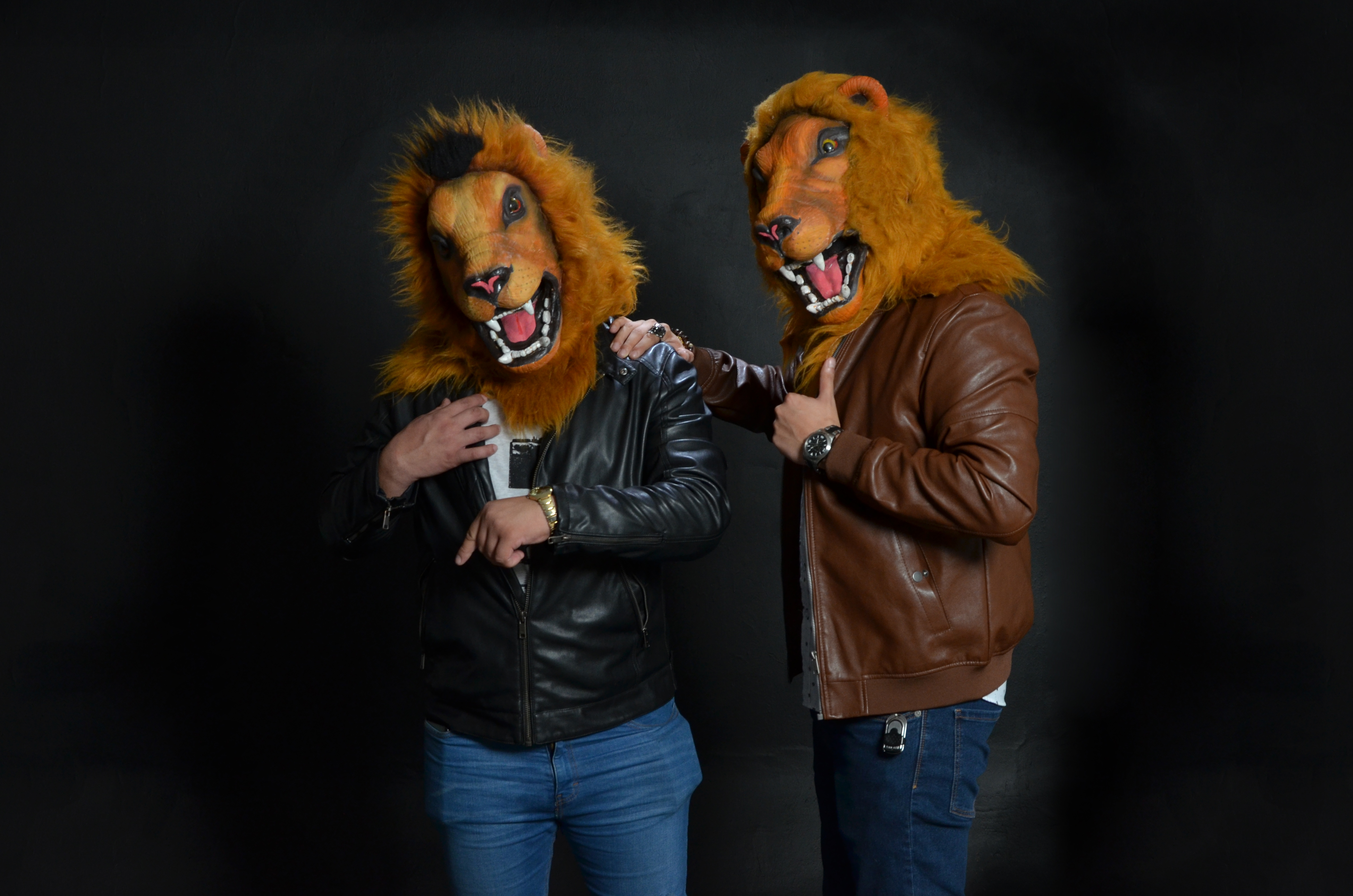 Лева 2 часа. High quality Lion jpg Mask.