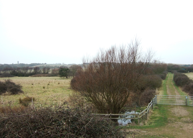 File:Access Road - geograph.org.uk - 1182513.jpg