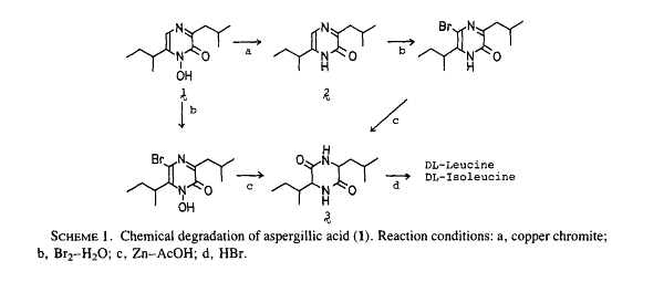 Aspergil kislotasining reaktsiyalari 2