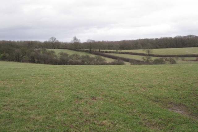 File:Bearley Bushes beyond fields - geograph.org.uk - 2262909.jpg