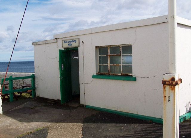 File:Bird Watching Hide - geograph.org.uk - 544494.jpg