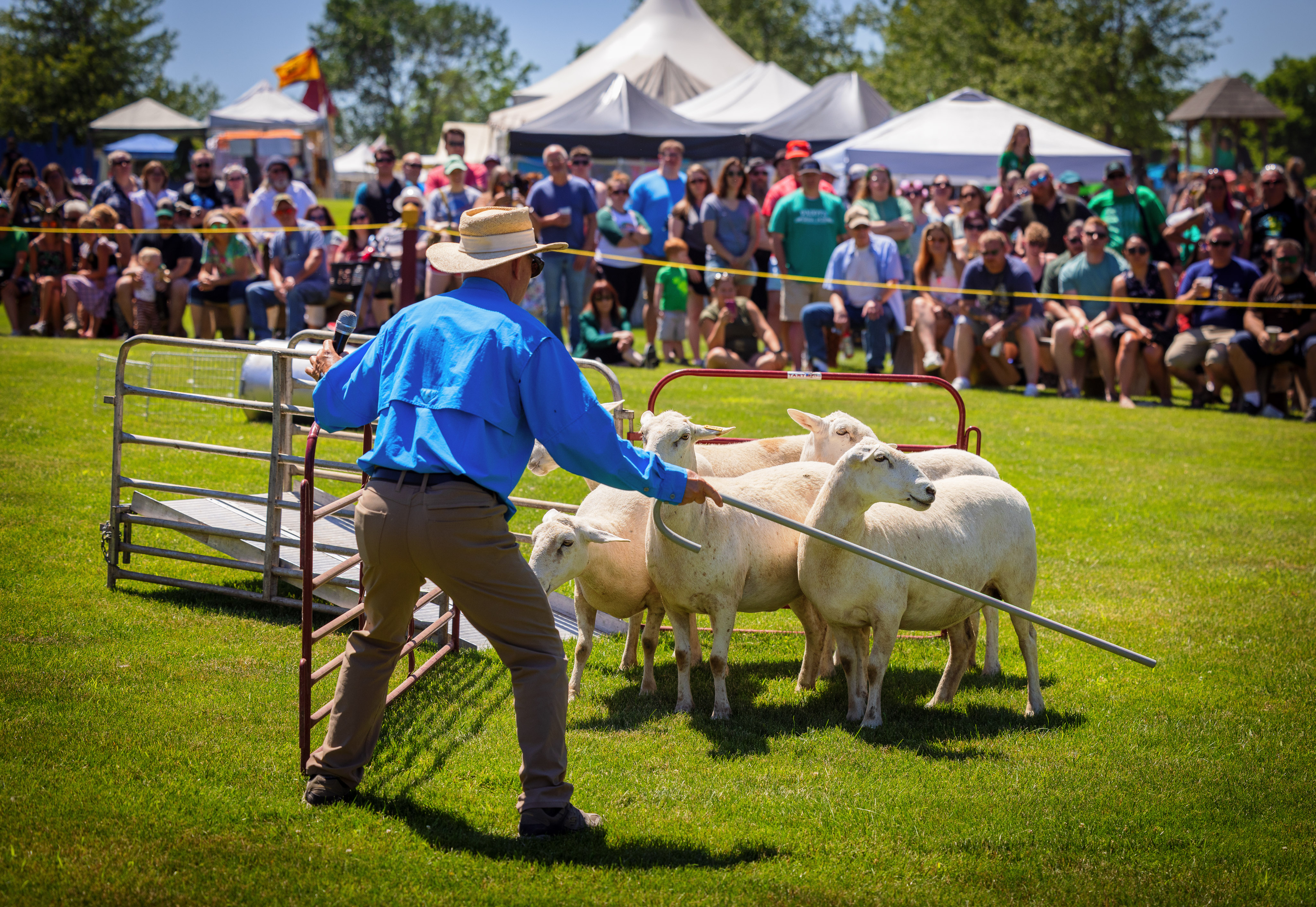 Celtic festival