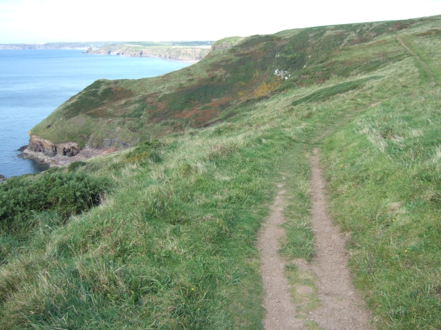 Coast path above Haroldston Bridge - geograph.org.uk - 1538439