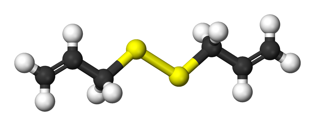 File:3-(2-Furyl)-2,4-dioxaspiro(5.5)undec-8-ene.png - Wikipedia