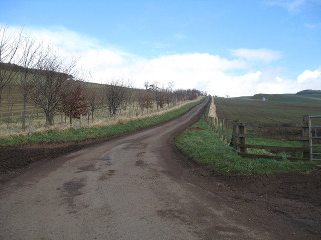 File:Downham Farm - geograph.org.uk - 1195137.jpg