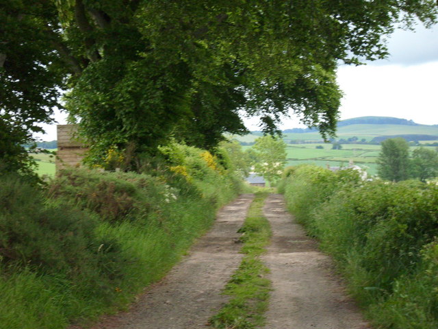 File:Farm Track near Earlston - geograph.org.uk - 840640.jpg